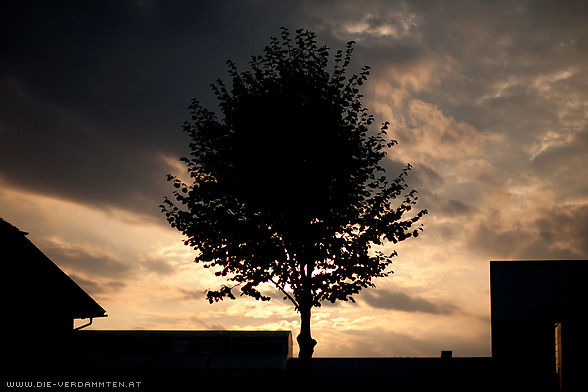 Sonnenuntergang in Maxglan