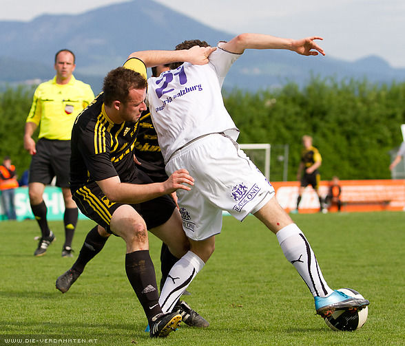 Nico Mayer