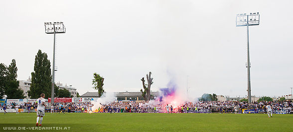 Austria Fanblock nach dem F�hrungstreffer