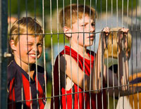 Die Kindermeute